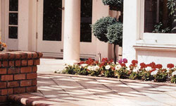 flowers always complement your entrance