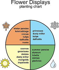 flower displays planting chart