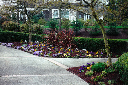 corner landscaping