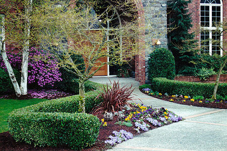 residential entrance landscaping